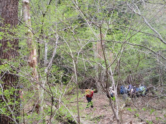 画像3: 4月17日に山旅会 百蔵(ももくら)山 のツアーに行ってきました!