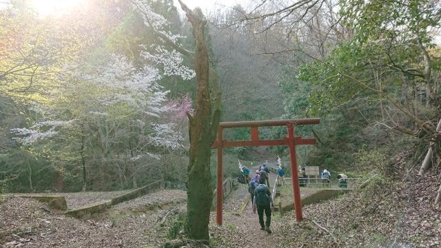 画像11: 4月6日に宮下ガイドと富岳十二景シリーズで 久鬼山 へ行ってきました♪