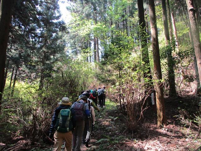画像5: 4月20日に山旅会 「西山峠から草戸山」 ツアーに行ってきました!