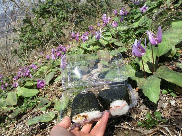 画像12: 4月15日に岡田ガイドとカタクリ咲く 六万騎山 へ行って来ました♪