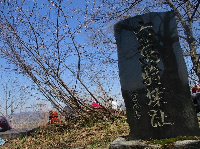 画像11: 4月15日に岡田ガイドとカタクリ咲く 六万騎山 へ行って来ました♪