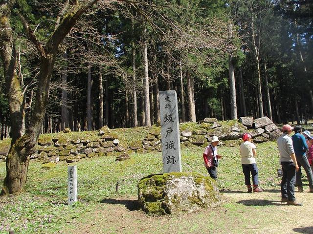 画像16: 4月15日に岡田ガイドとカタクリ咲く 六万騎山 へ行って来ました♪