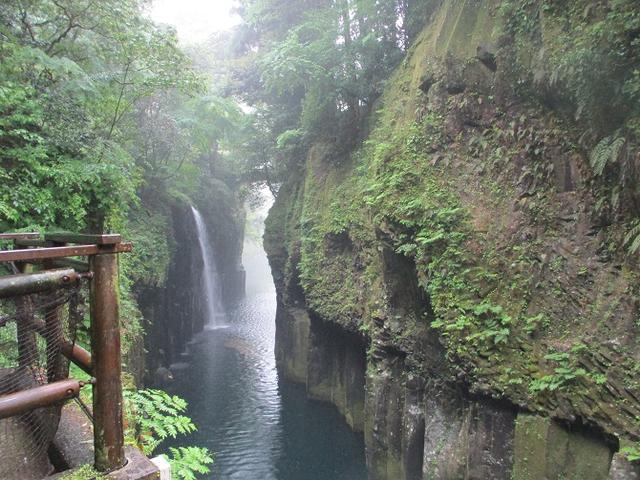 画像11: 来年の春の企画のネタを探して 九州・祖母山 に行ってきました!