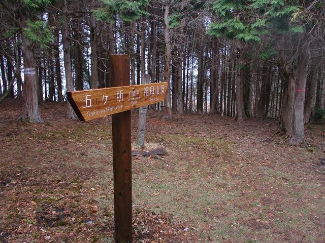 画像4: 来年の春の企画のネタを探して 九州・祖母山 に行ってきました!