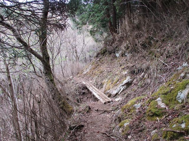 画像2: 来年の春の企画のネタを探して 九州・祖母山 に行ってきました!