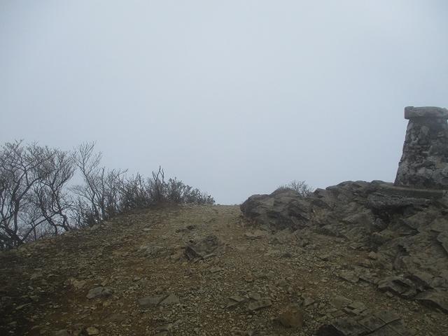 画像10: 来年の春の企画のネタを探して 九州・祖母山 に行ってきました!