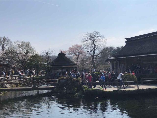 画像4: 富士山すそ野ぐるり1周ウォーク 第1回に行ってきました!