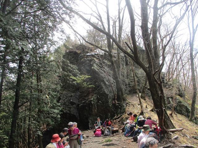 画像4: 4月25日に山旅会 「鳴神山」 ツアーに行ってきました!