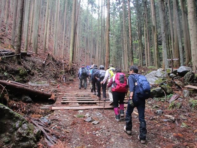 画像1: 4月25日に山旅会 「鳴神山」 ツアーに行ってきました!