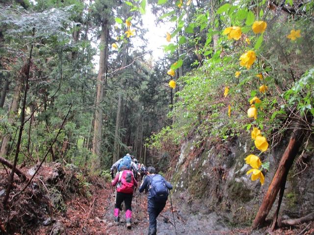 画像2: 4月25日に山旅会 「鳴神山」 ツアーに行ってきました!