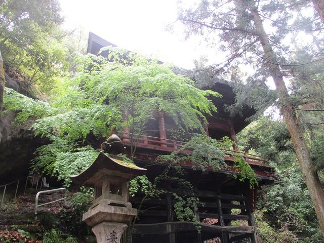 画像5: 4月26日に 「琴平丘陵から羊山公園」 ツアーに行ってきました!