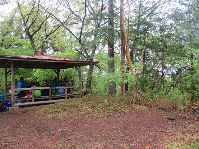画像7: 4月26日に 「琴平丘陵から羊山公園」 ツアーに行ってきました!