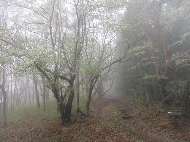 画像7: 本日は 秩父丸山 ツアーの下見のご報告です!