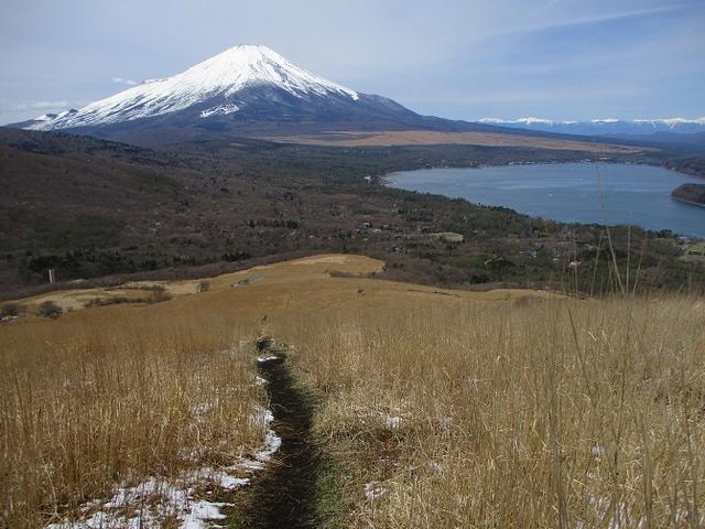 画像10: 【山旅会・登山ガイドこだわりツアー】岡田ガイドからの便り・籠坂峠から三国山ツアーの下見に行ってきました!