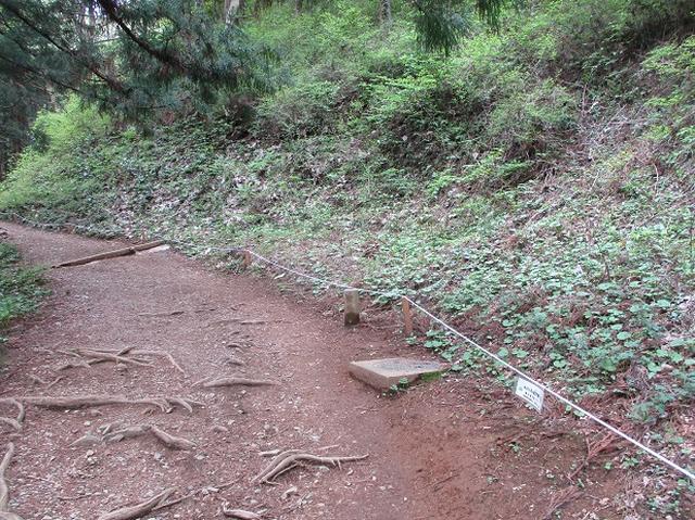 画像12: 5月の山旅会 西山峠から高尾山 ツアーの直前下見に行ってきました!