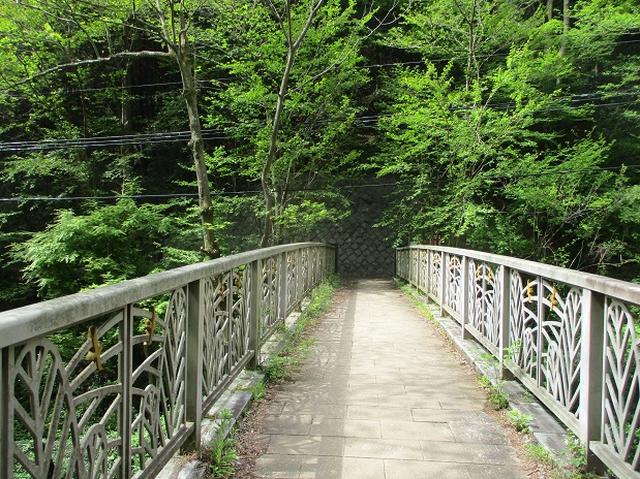 画像10: 5月の山旅会 西山峠から高尾山 ツアーの直前下見に行ってきました!
