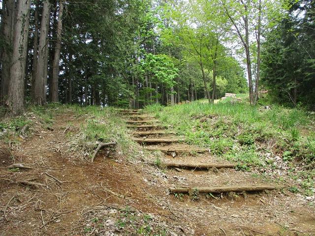 画像11: 5月の山旅会 西山峠から高尾山 ツアーの直前下見に行ってきました!