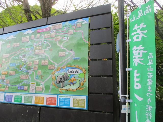 画像1: 5月の山旅会 西山峠から高尾山 ツアーの直前下見に行ってきました!