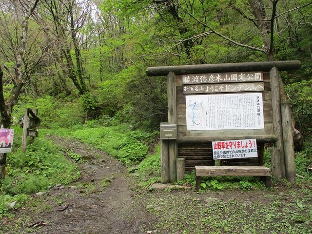 画像2: 5月の山旅会 「佐渡」 ツアーの直前下見報告です!