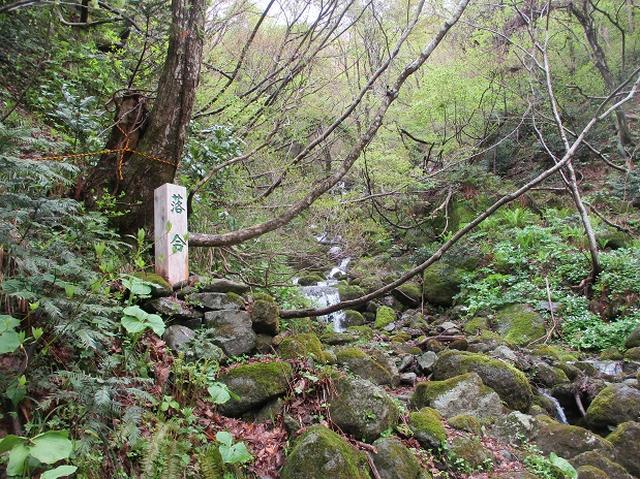 画像6: 5月の山旅会 「佐渡」 ツアーの直前下見報告です!