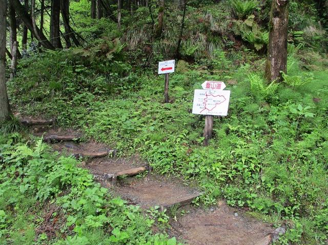 画像1: 5月の山旅会 「坂戸山と八石山」 の直前下見報告です!