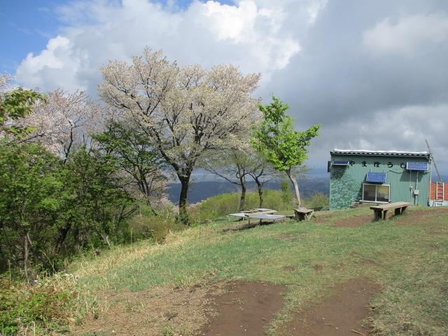 画像11: 5月の山旅会 「坂戸山と八石山」 の直前下見報告です!