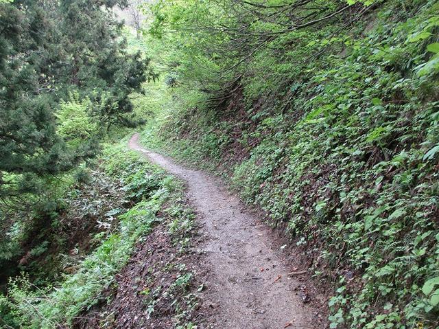 画像3: 5月の山旅会 「坂戸山と八石山」 の直前下見報告です!