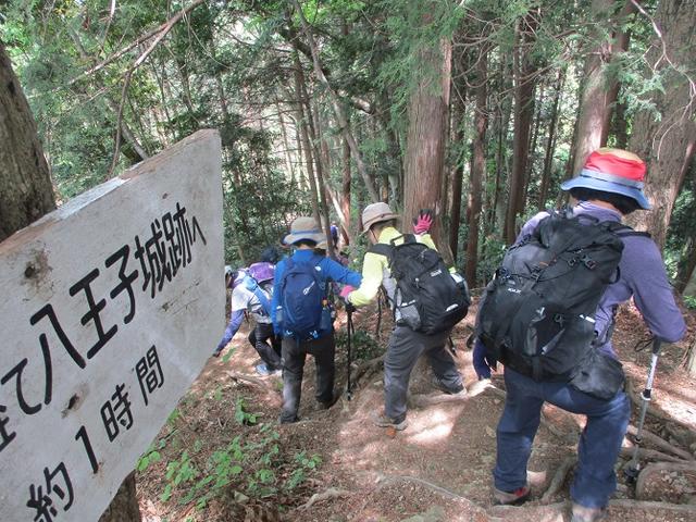 画像10: 5月5日に山旅会 「狐塚峠から八王子城址」 ツアーに行ってきました!