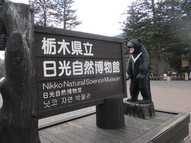 画像9: 5月の山旅会 「茶ノ木平から華厳の滝」 の下見に行ってきました!