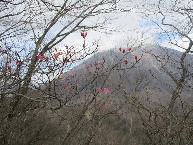 画像4: 5月の山旅会 「茶ノ木平から華厳の滝」 の下見に行ってきました!