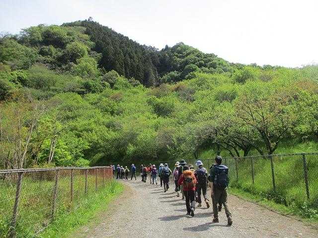 画像13: 5月4日に岡田ガイドのツアーで埼玉県の「越上山」へ行って来ました♪