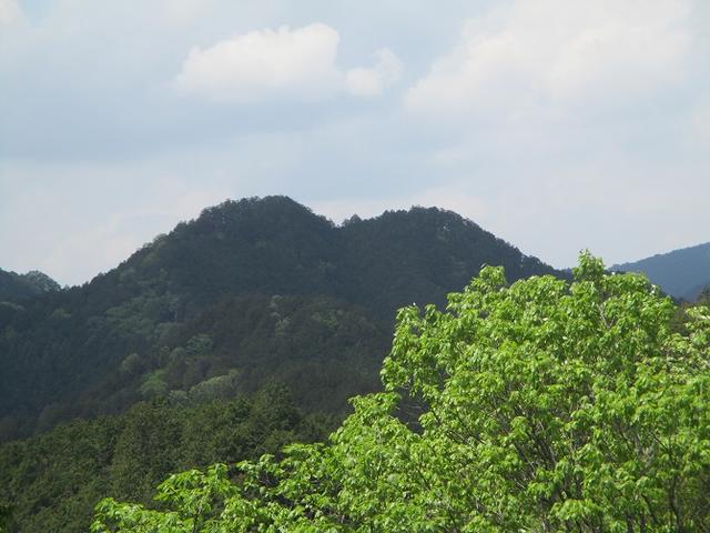 画像8: 5月4日に岡田ガイドのツアーで埼玉県の「越上山」へ行って来ました♪