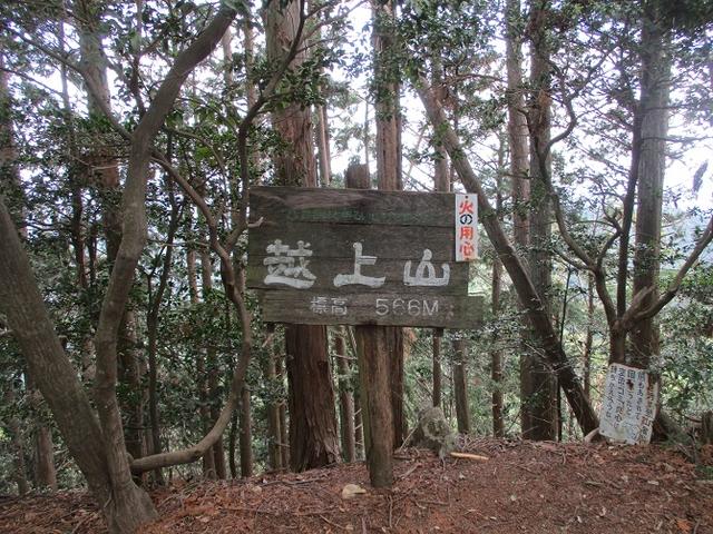 画像10: 5月4日に岡田ガイドのツアーで埼玉県の「越上山」へ行って来ました♪