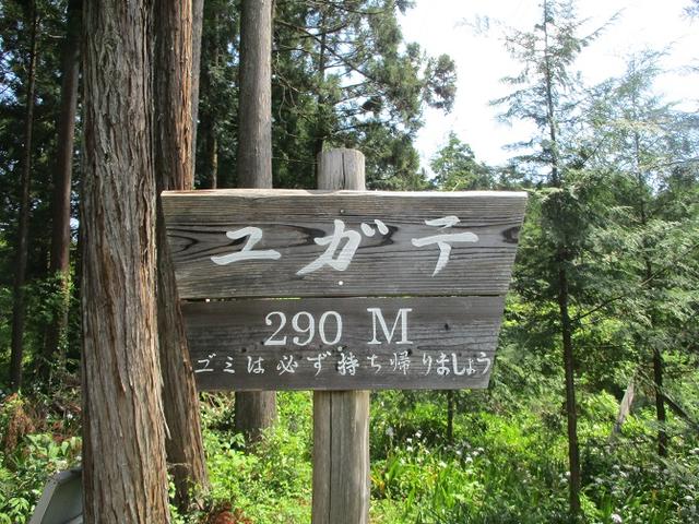 画像5: 5月4日に岡田ガイドのツアーで埼玉県の「越上山」へ行って来ました♪