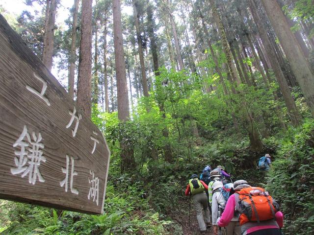 画像4: 5月4日に岡田ガイドのツアーで埼玉県の「越上山」へ行って来ました♪