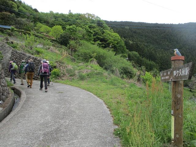 画像1: 5月7日に山旅会 「秩父丸山」 ツアーに行ってきました!