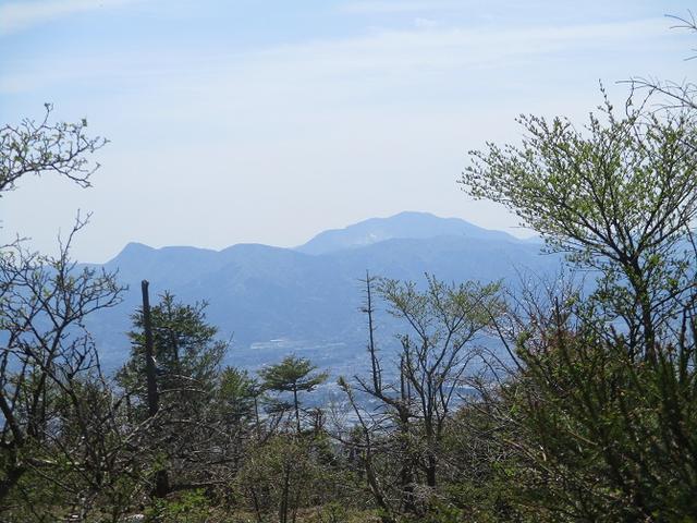 画像4: 5月10日に山旅会 「籠坂峠から三国山」 ツアーにいってきました!