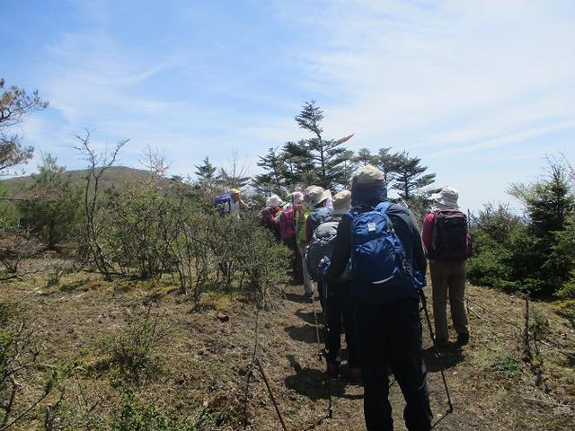 画像3: 5月10日に山旅会 「籠坂峠から三国山」 ツアーにいってきました!