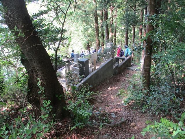 画像11: 5月7日に山旅会 「秩父丸山」 ツアーに行ってきました!