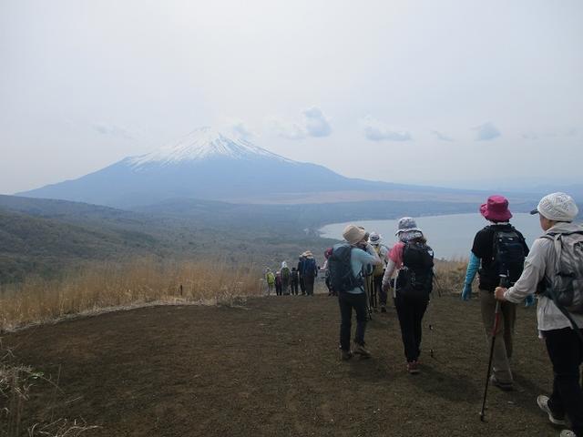 画像12: 5月10日に山旅会 「籠坂峠から三国山」 ツアーにいってきました!