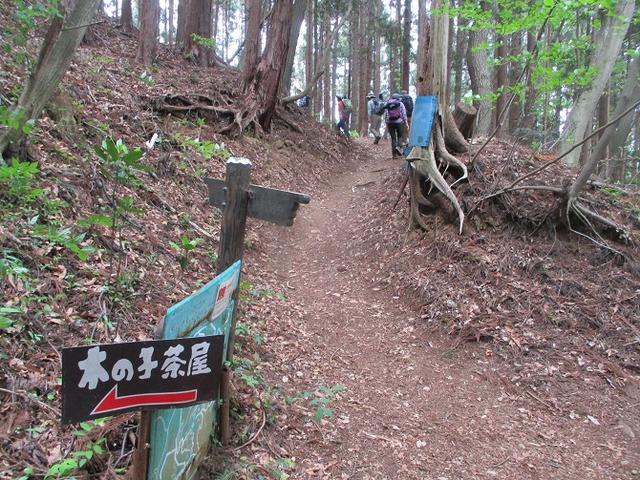 画像2: 5月7日に山旅会 「秩父丸山」 ツアーに行ってきました!