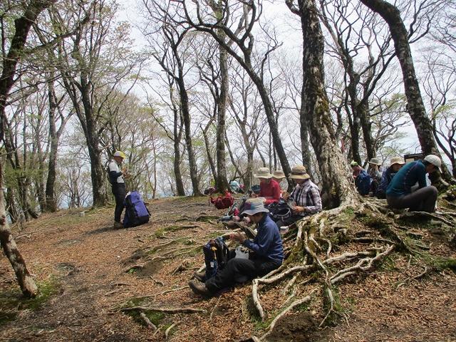 画像9: 5月10日に山旅会 「籠坂峠から三国山」 ツアーにいってきました!