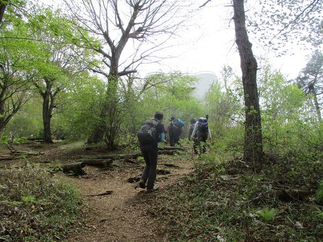 画像6: 5月7日に山旅会 「秩父丸山」 ツアーに行ってきました!