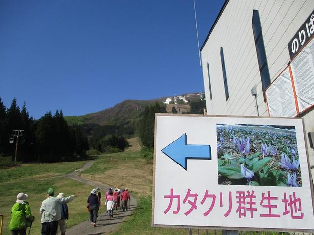 画像11: 5月8日・9日に岡田ガイドのコースで暑い暑い新潟の山へ行って来ました♪