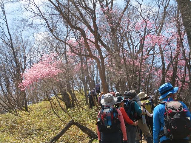画像6: 13日に岡田ガイドのコースで、 茶ノ木平~華厳の滝 へ行ってきました♪