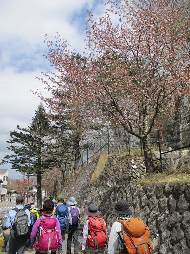 画像14: 13日に岡田ガイドのコースで、 茶ノ木平~華厳の滝 へ行ってきました♪
