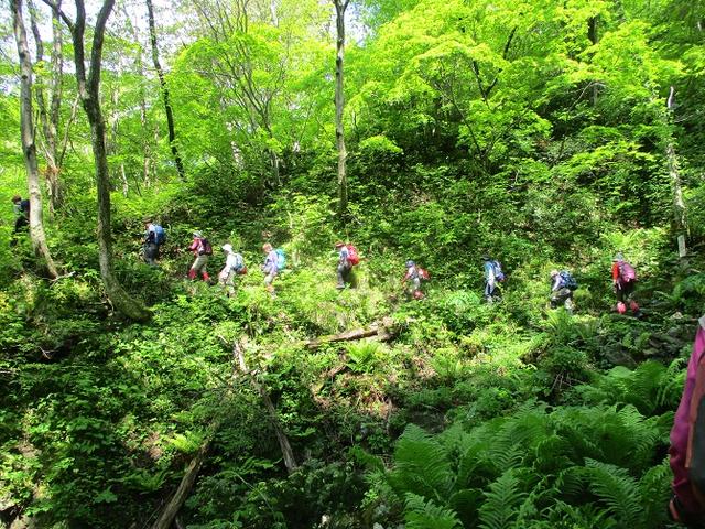 画像5: 5月14日~15日で山旅会 「佐渡」 ツアーに行ってきました!
