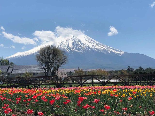 画像4: 富士山すそ野ぐるり1周ウォーク 第2回に行ってきました!