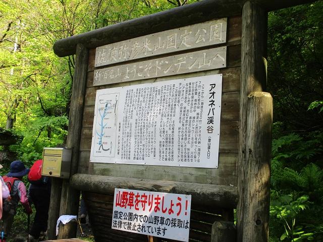 画像1: 5月14日~15日で山旅会 「佐渡」 ツアーに行ってきました!