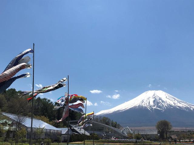 画像5: 富士山すそ野ぐるり1周ウォーク 第2回に行ってきました!